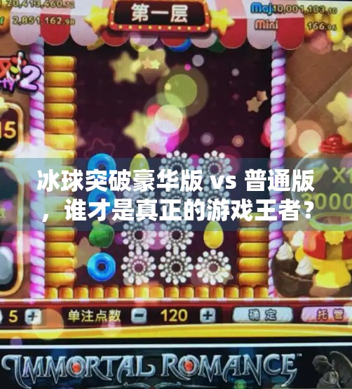 冰球突破豪华版 vs 普通版,谁才是真正的游戏王者?冰球突破豪华版和普通版 冰球突破豪华版 vs 普通版,谁才是真正的游戏王者?冰球突破豪华版和普通版