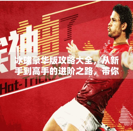 冰球豪华版攻略大全,从新手到高手的进阶之路,带你玩转冰雪战场!突破冰球豪华版攻略大全 冰球豪华版攻略大全,从新手到高手的进阶之路,带你玩转冰雪战场!突破冰球豪华版攻略大全